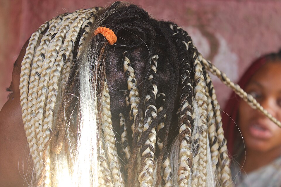 Stitch braids Pink$tudio